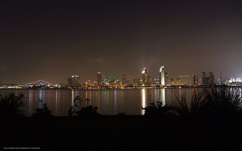 San Diego Skyline at Night — Black, Calm, Photograph, Cityscape