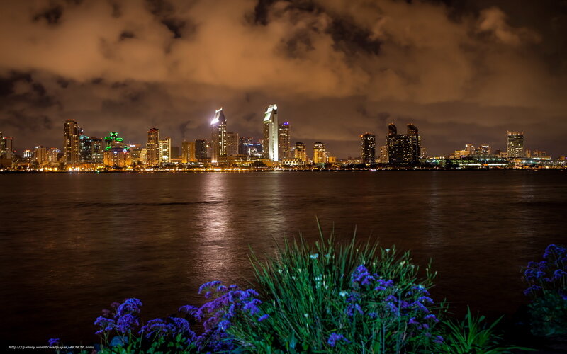 San Diego Skyline at Night — Black, Dramatic