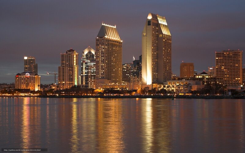 San Diego Skyline at Night — Blue, Calm, Photograph, Buildings