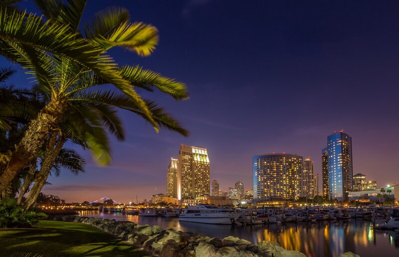 San Diego Skyline at Night — Blue, Serene, Photograph, Palm Tree