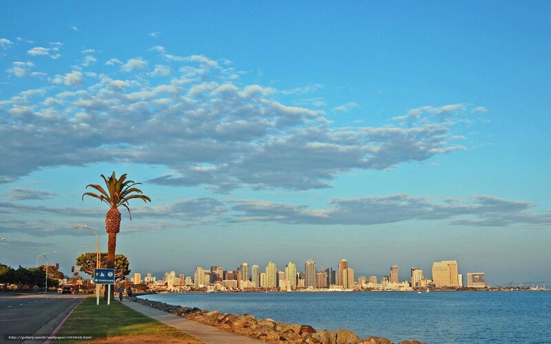 San Diego Skyline — Blue, Serene, Afternoon, Photograph, Palm Tree