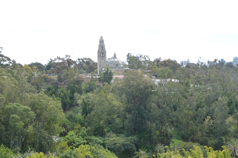 San Diego Skyline — Green