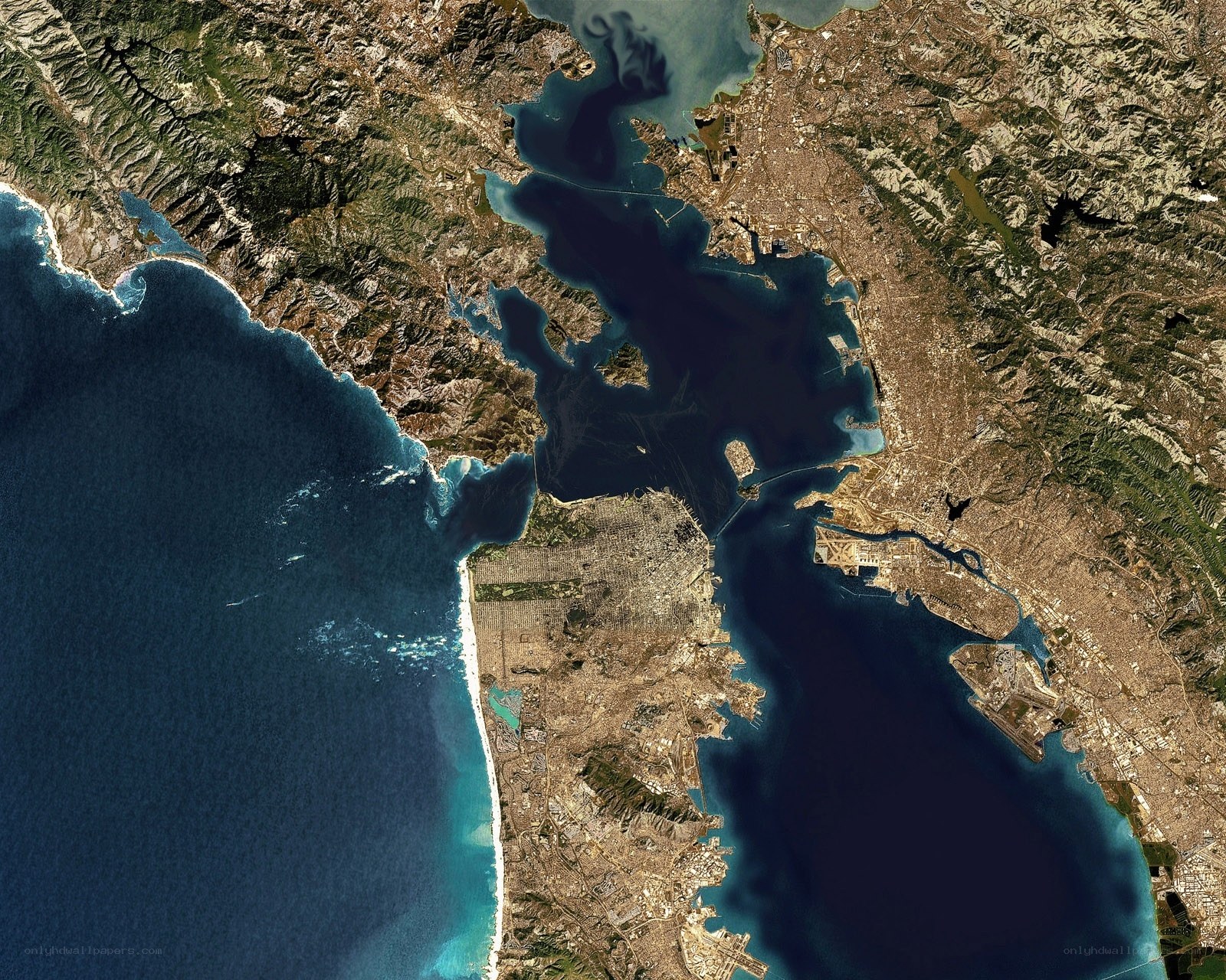 San Francisco Bay satellite view