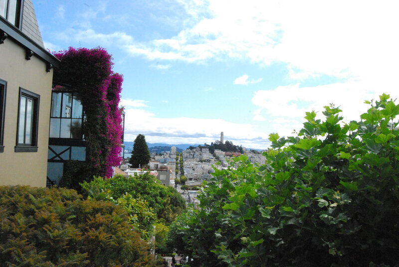 San Francisco city view