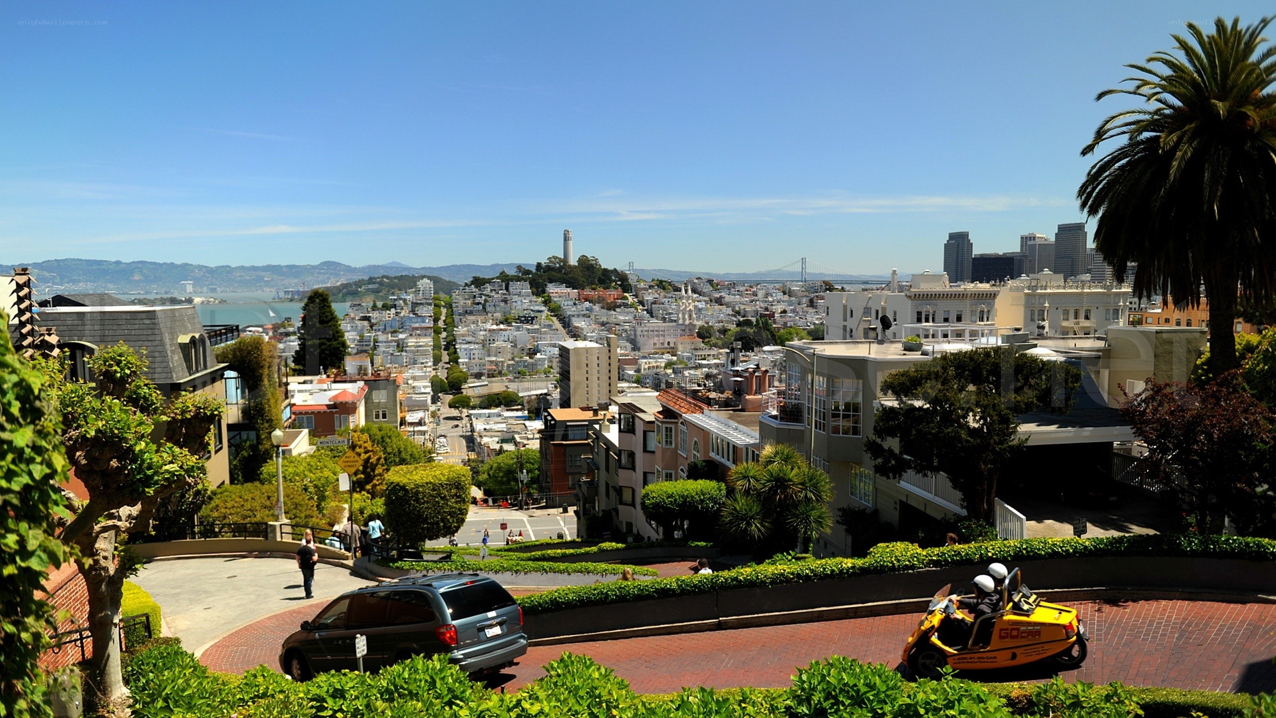 San Francisco cityscape view