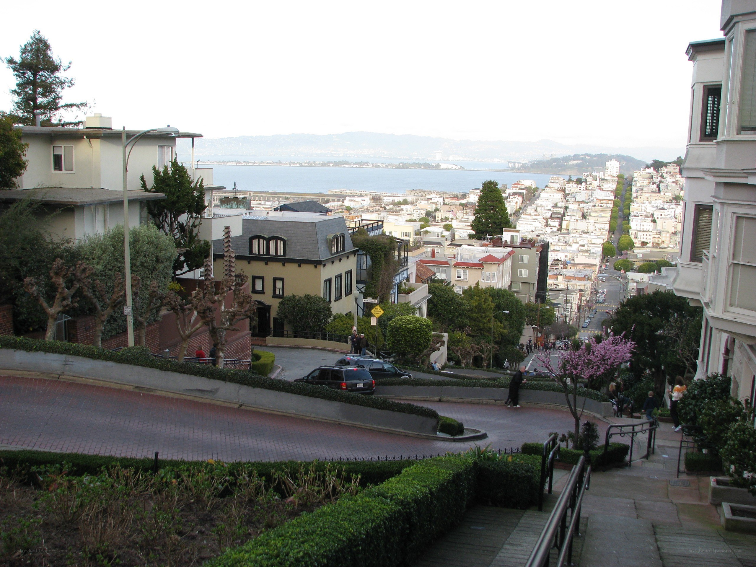San Francisco hillside view