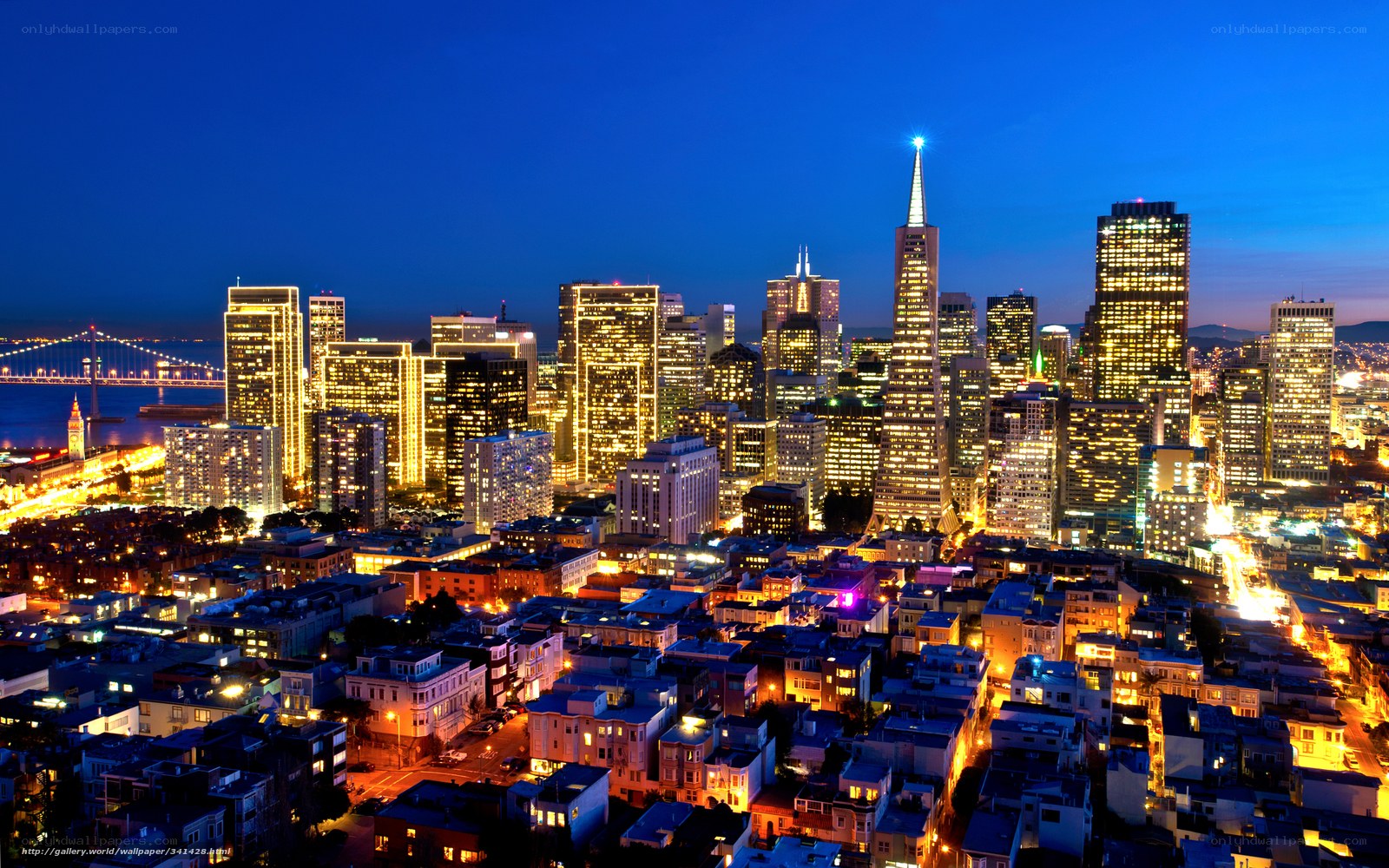 San Francisco skyline at night