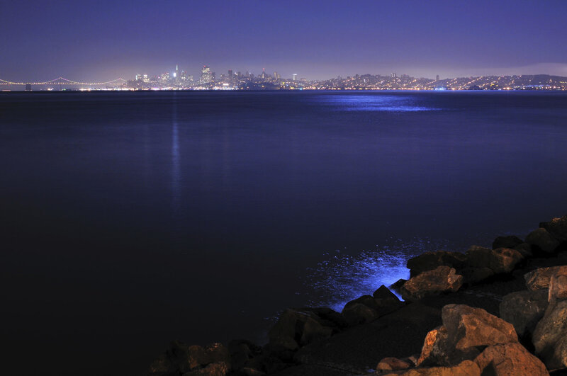 San Francisco skyline at night