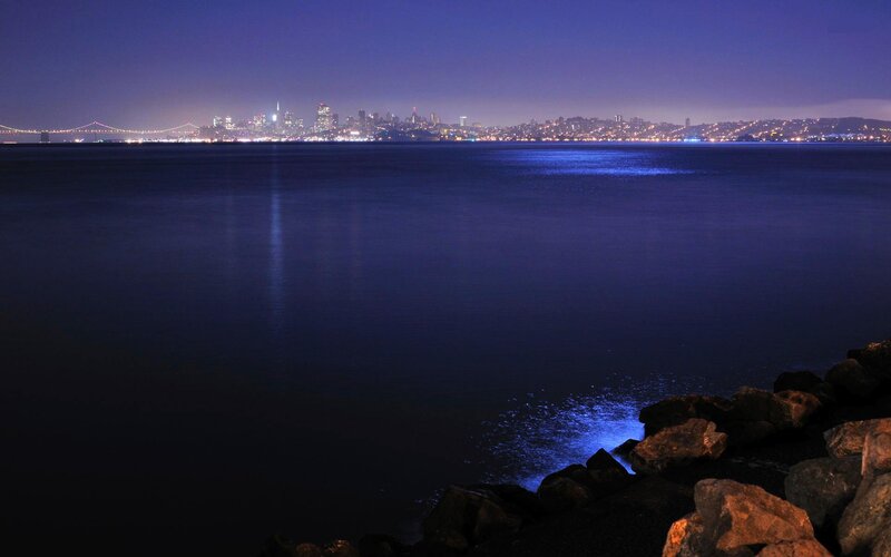 San Francisco Skyline at Night — Blue