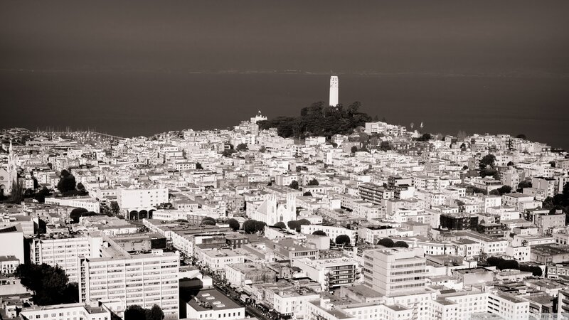 San Francisco Skyline — Black, Serene