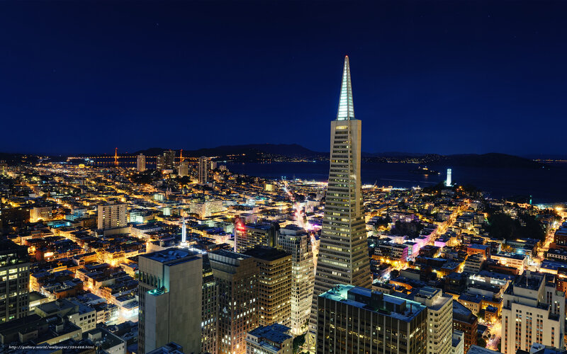 San Francisco Skyline — Blue, Dramatic, Night, Photograph, Transamerica Pyramid, City Lights