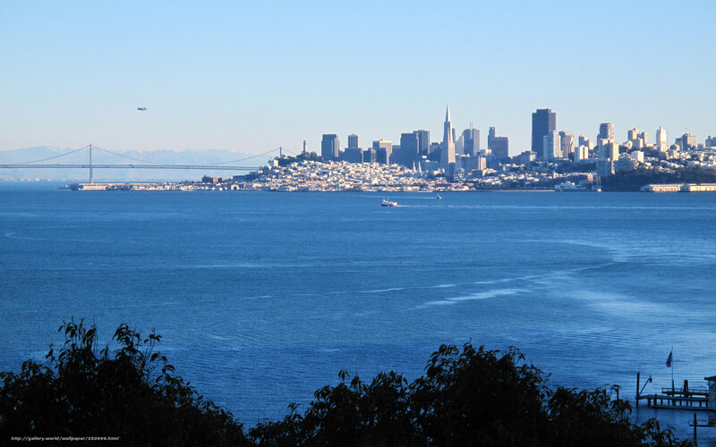 San Francisco Skyline — Blue, Serene, Afternoon, Photograph, Bay, Bridge
