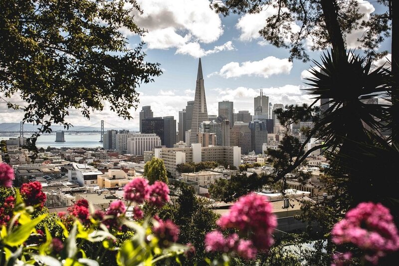 San Francisco Skyline — Blue, Serene, Afternoon, Photograph, Flowers