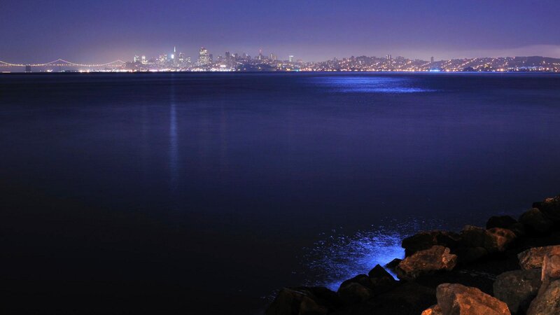 San Francisco Skyline — Blue, Serene, Night, Photograph, Bay, Bridge, Rocks