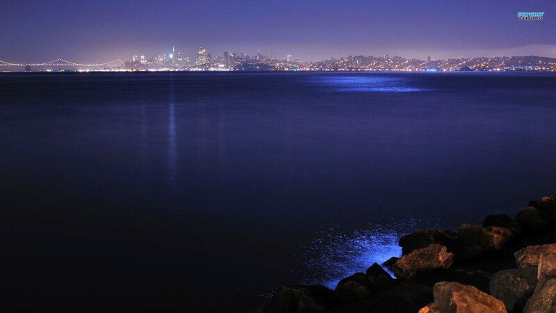 San Francisco Skyline — Blue, Serene, Night, Photograph, Bay