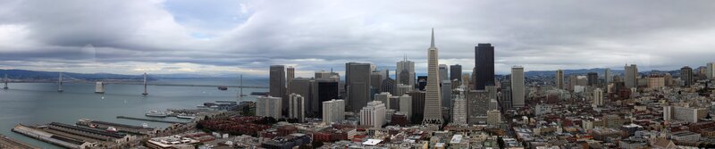 San Francisco Skyline — Gray, Overcast