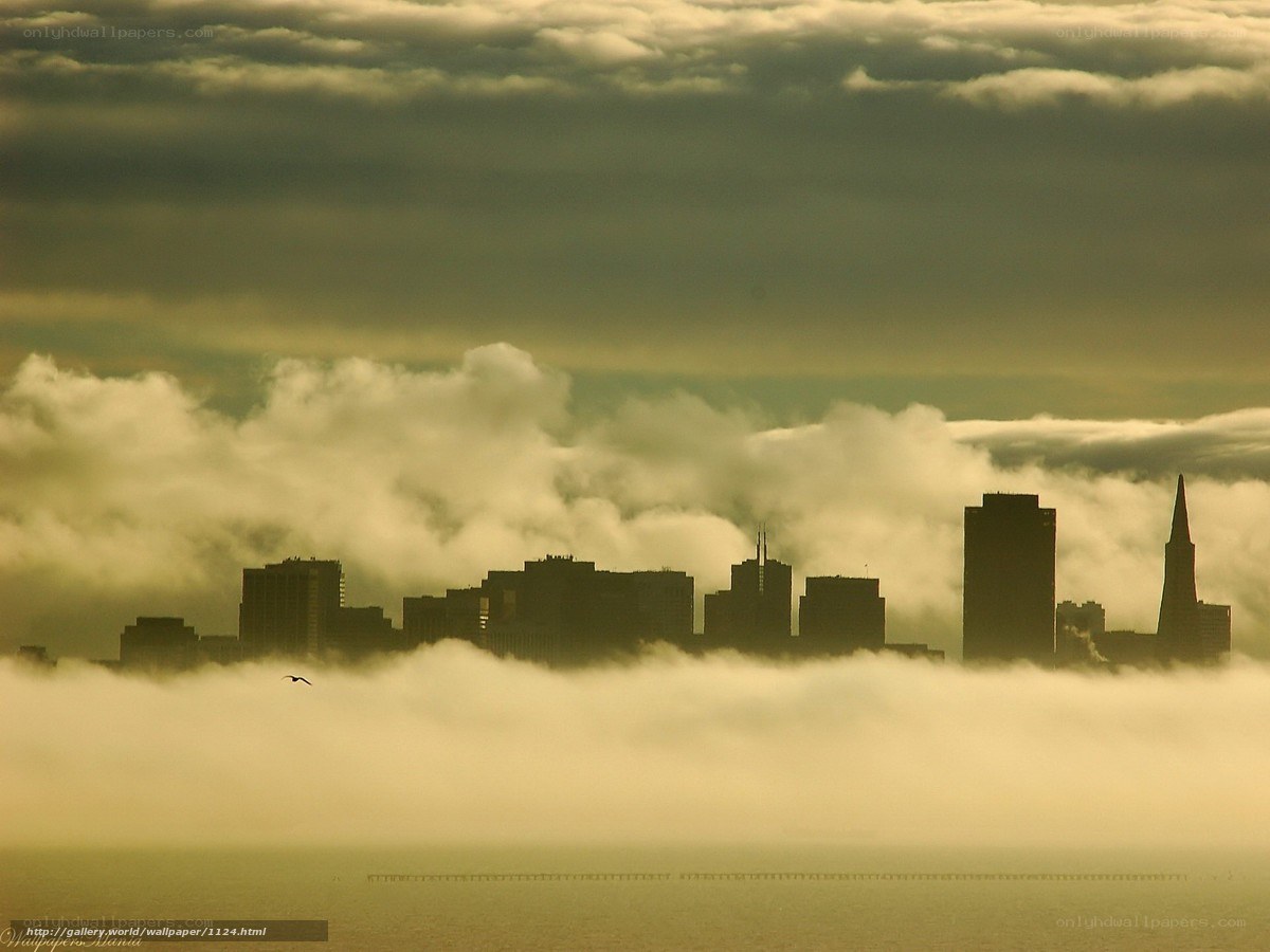 San Francisco skyline in fog