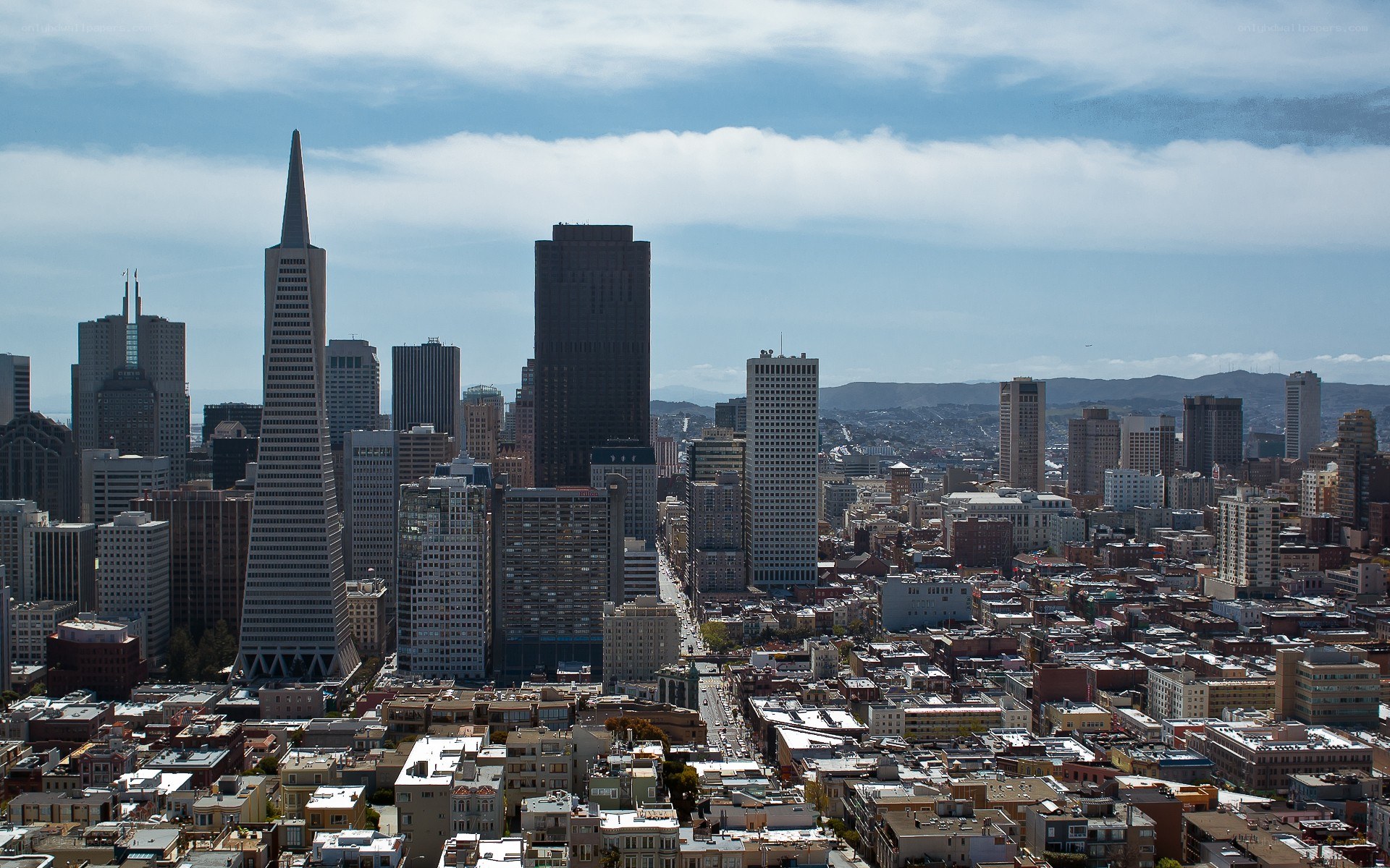 San Francisco skyline view