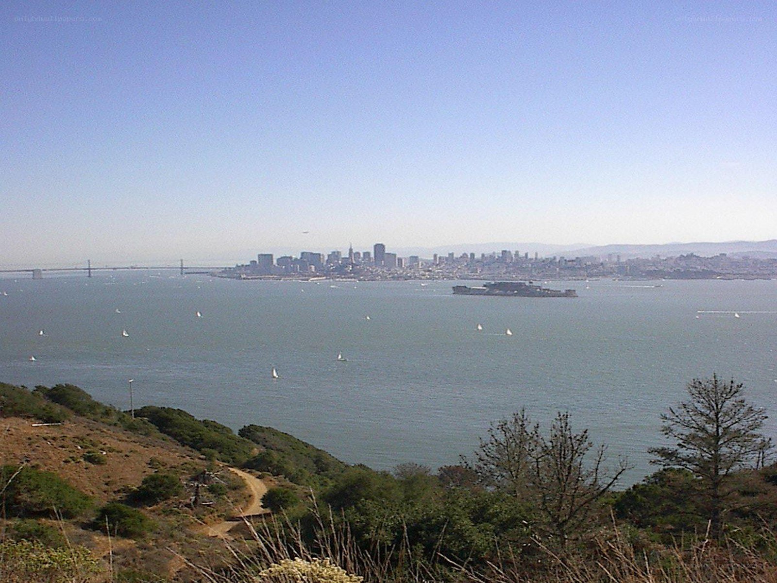 San Francisco skyline view