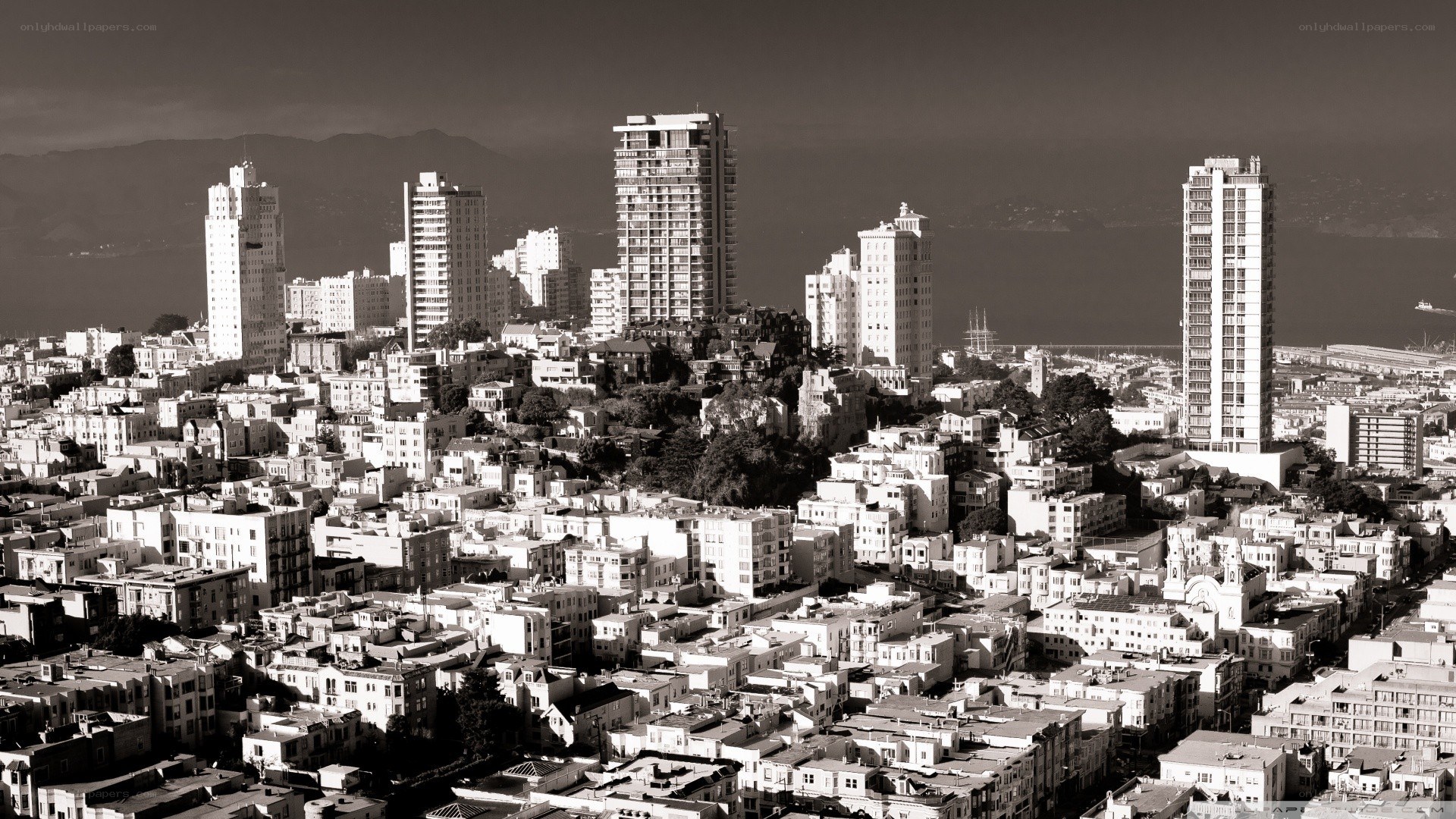 San Francisco skyline view