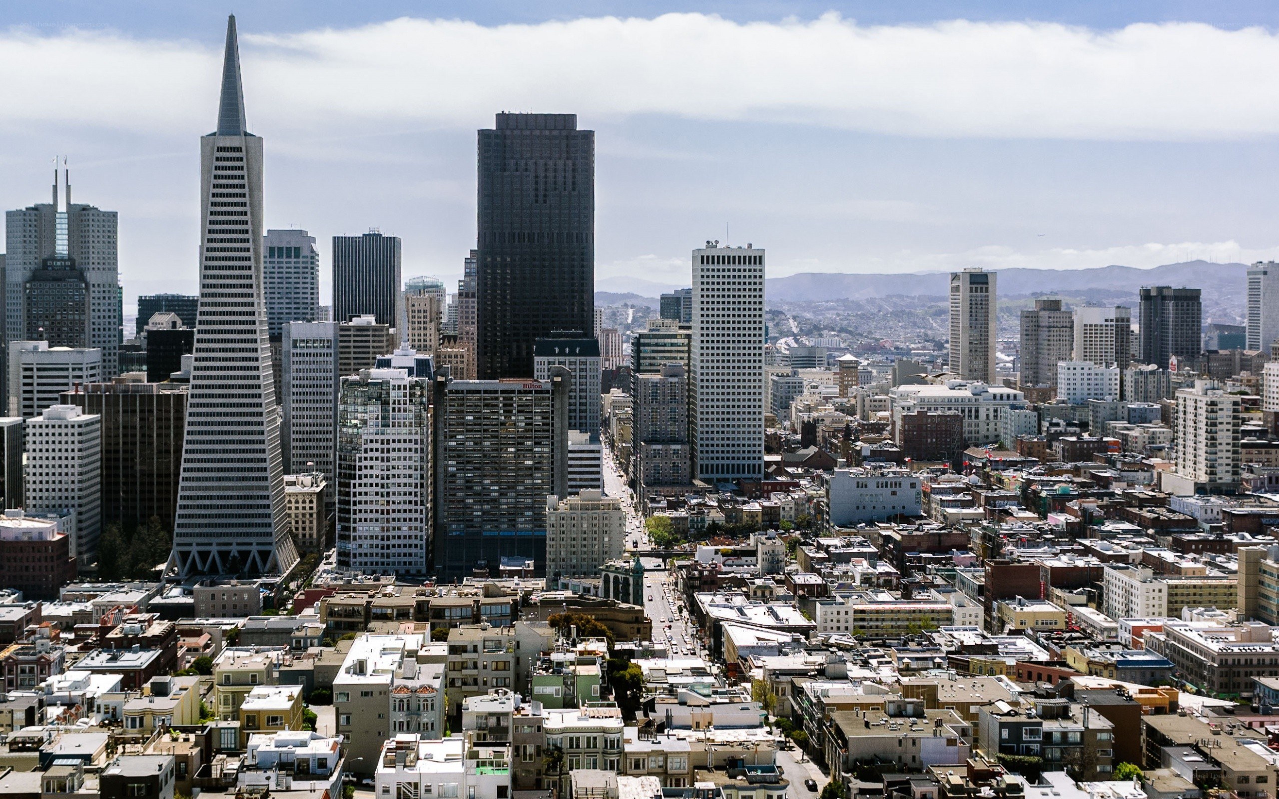 San Francisco skyline view