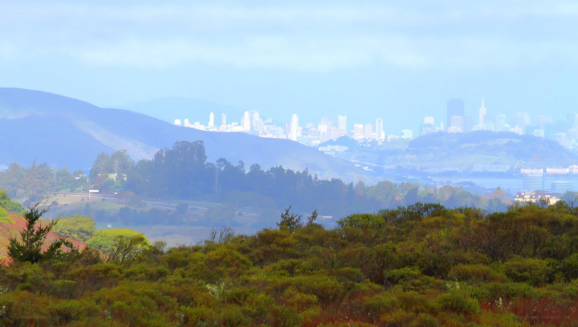 San Francisco skyline view