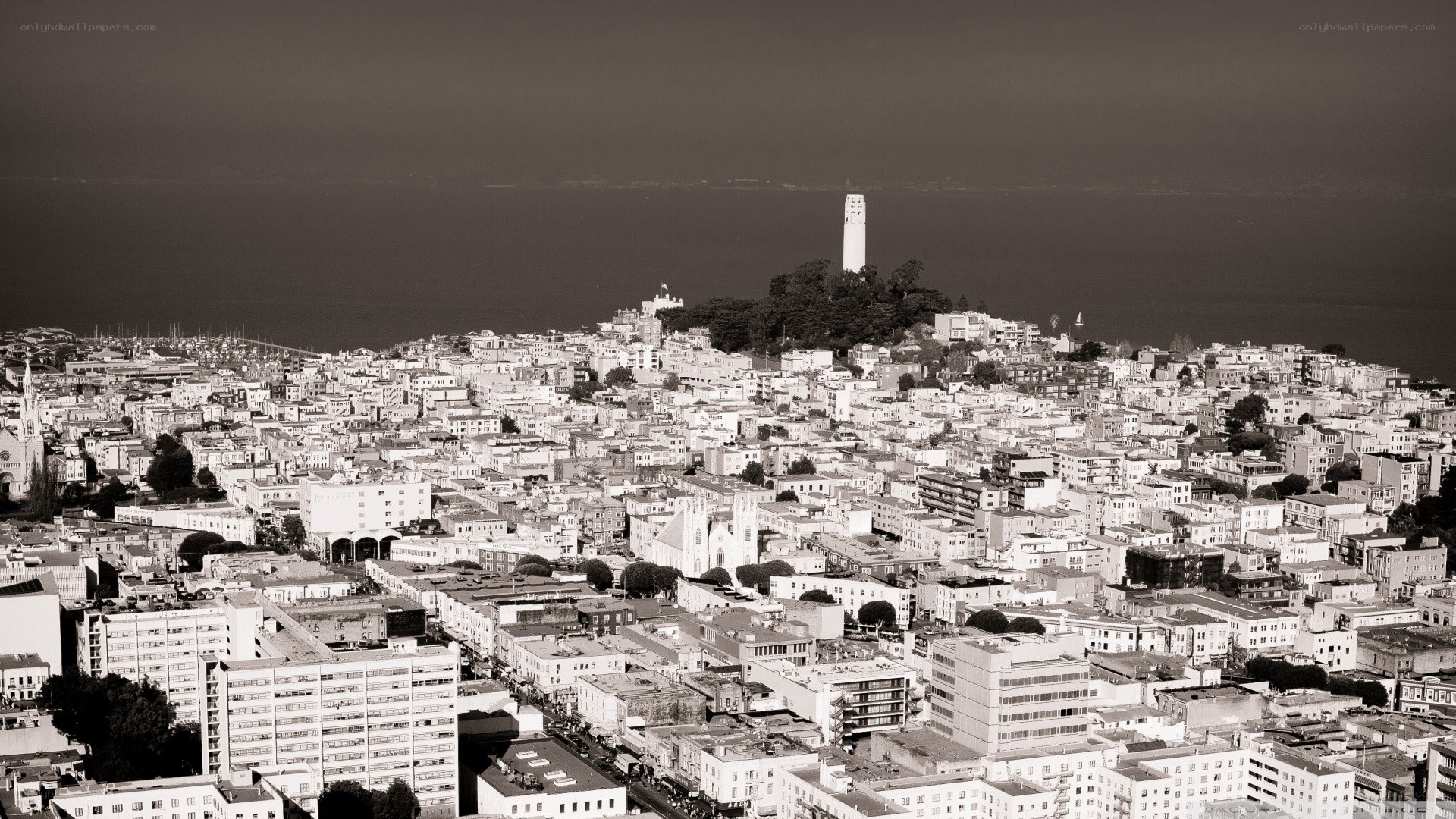 San Francisco skyline with Coit Tower