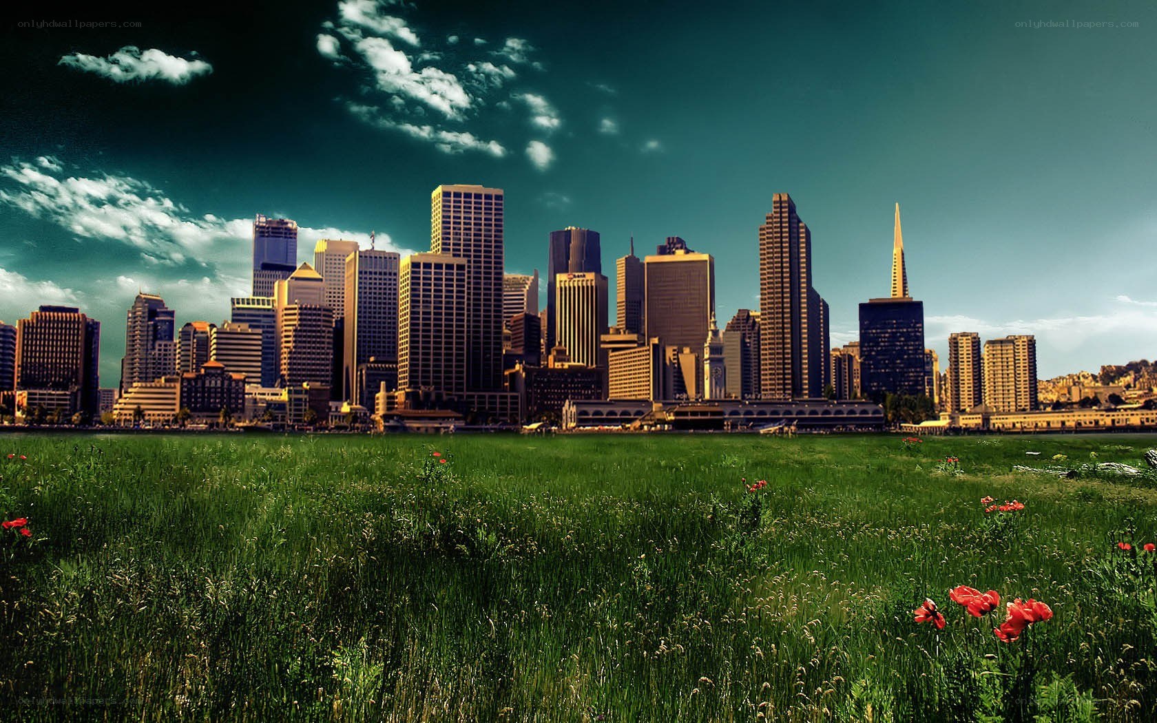 San Francisco skyline with meadow