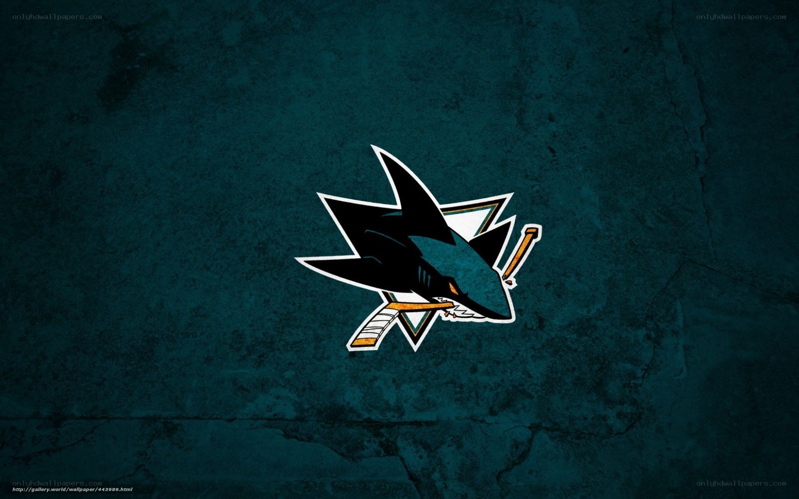 San Jose Sharks logo wallpaper