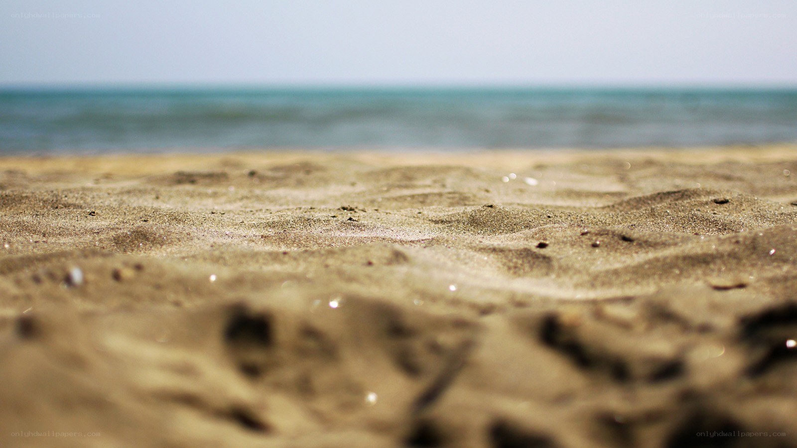 sand and sea at the beach