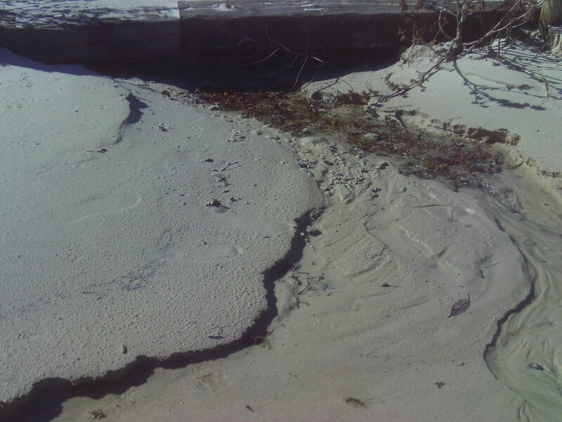 Sand and Seaweed