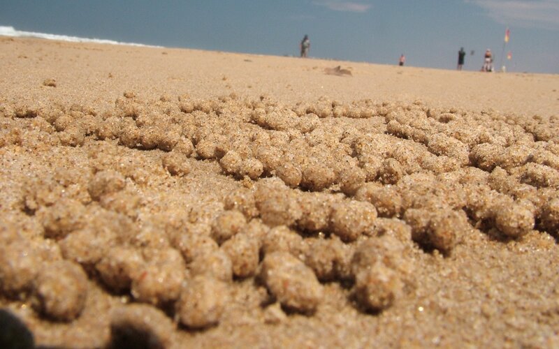 Sand balls on beach