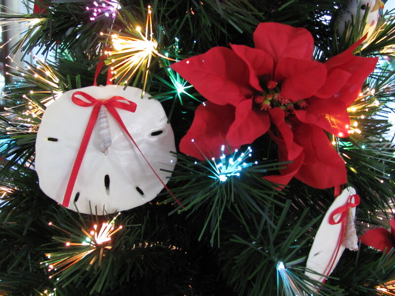 Sand Dollar Ornament