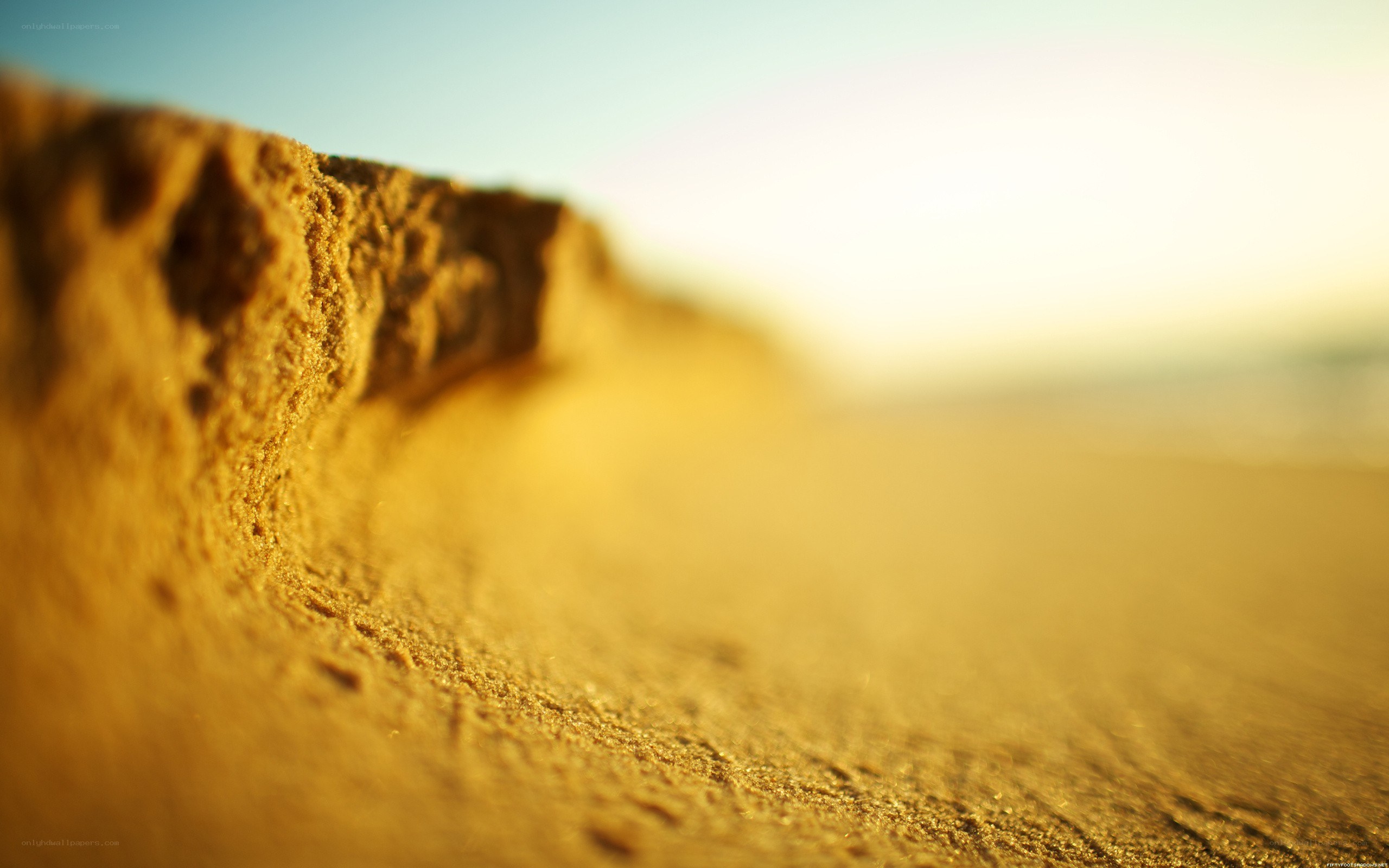 sand dune at golden hour