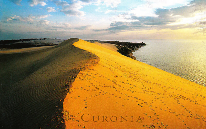Sand Dune by the Sea — Yellow