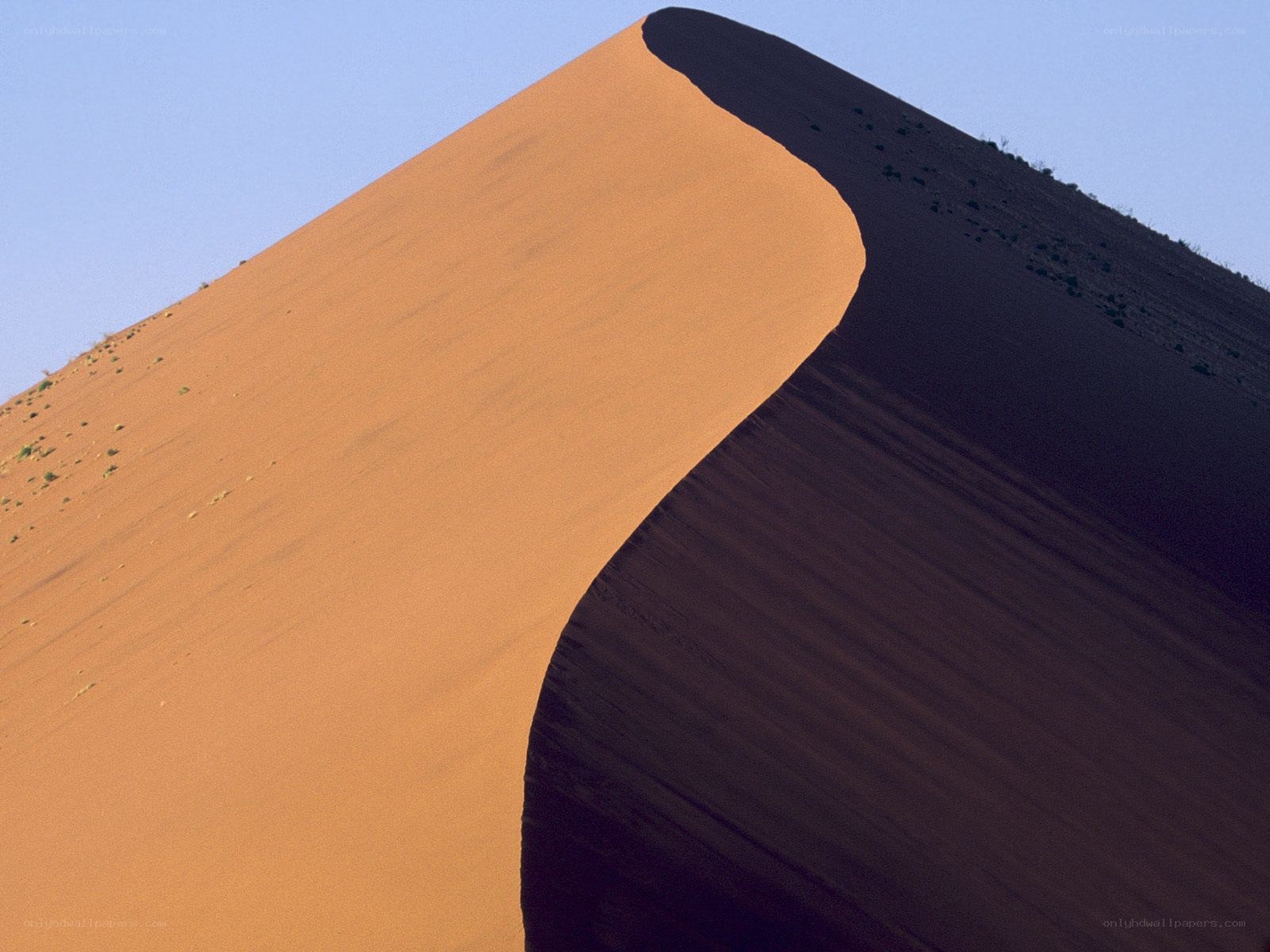 Sand dune in desert landscape