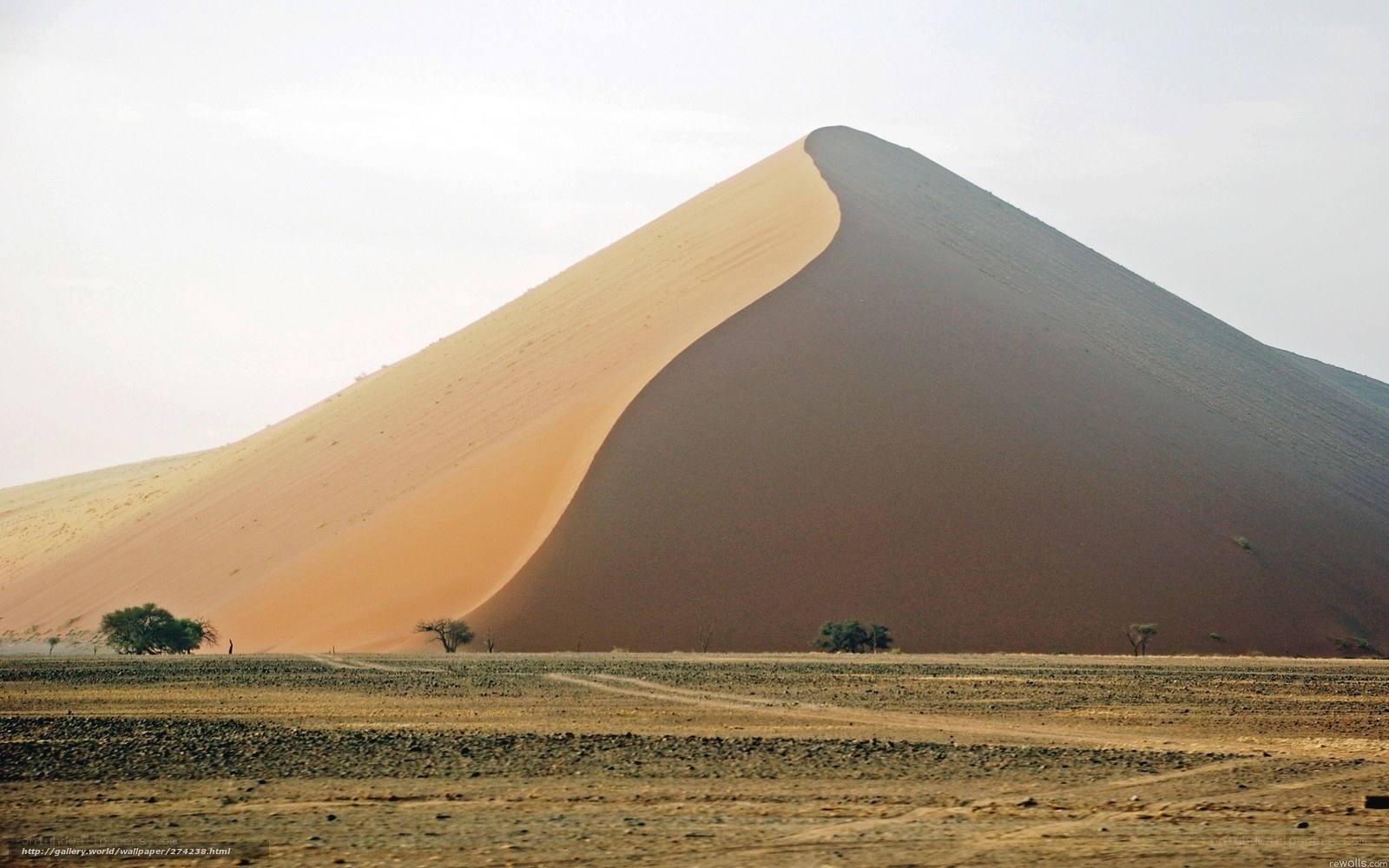 Sand dune in desert landscape