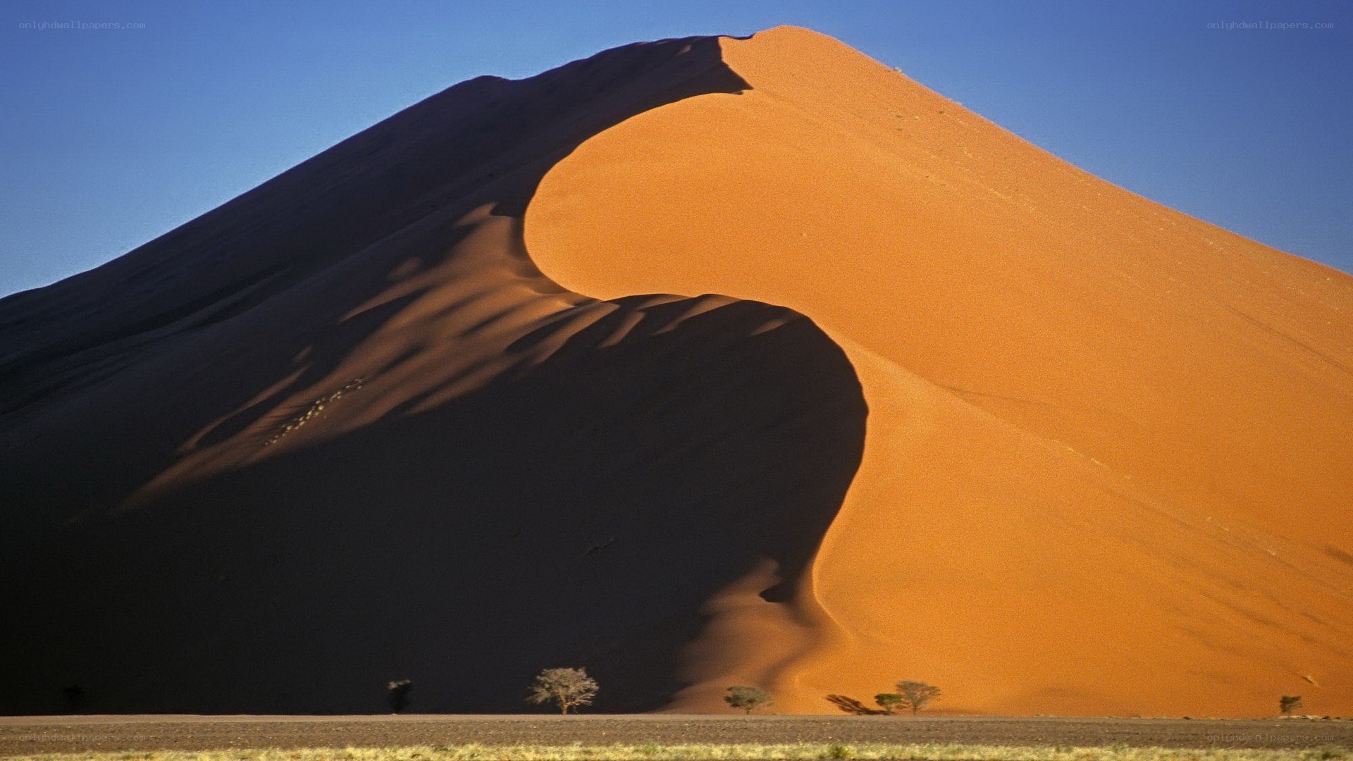 Sand dune in Namib Desert