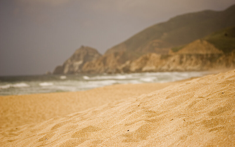Sand Dune on Beach