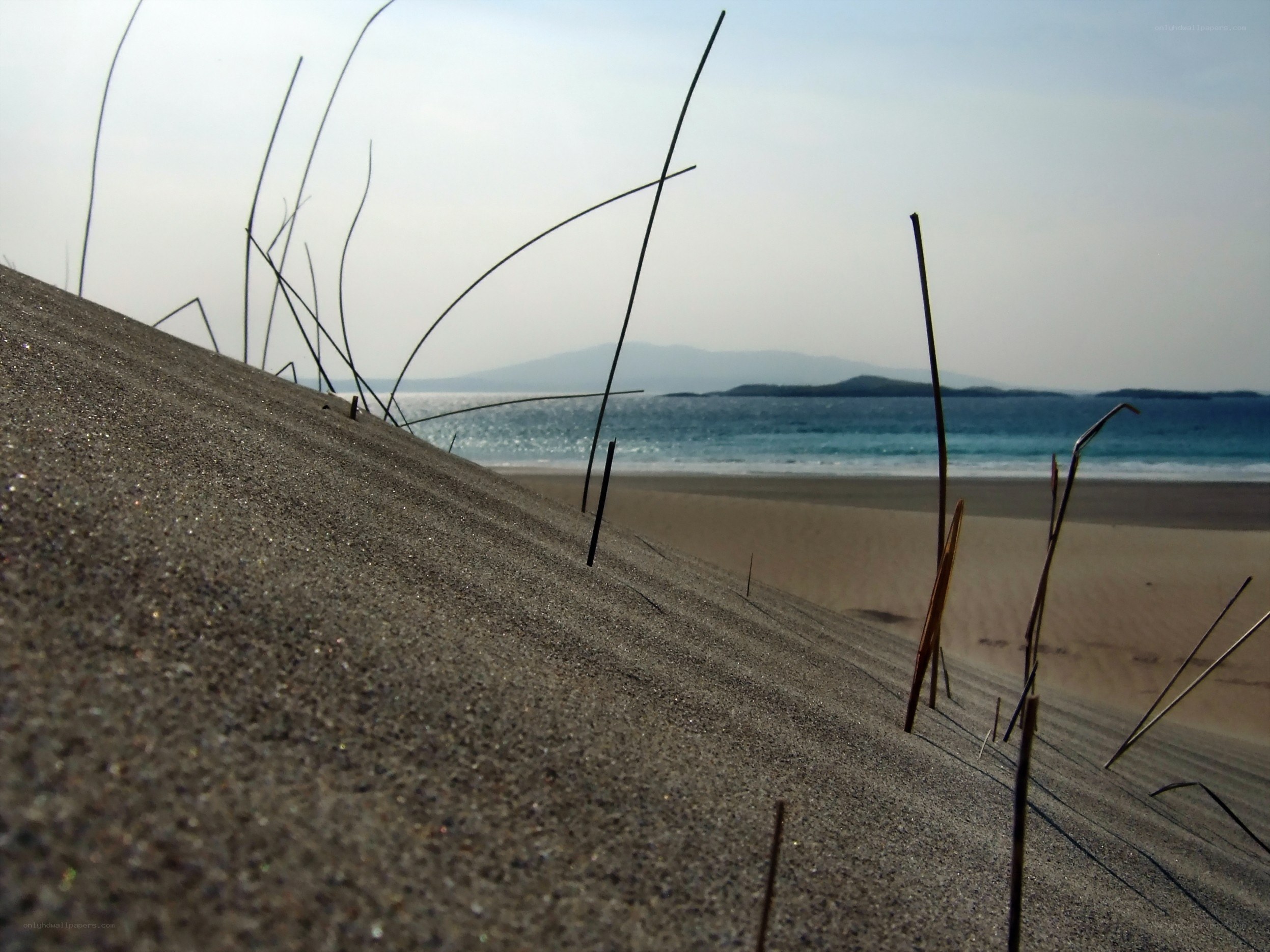 Sand dune overlooking the sea
