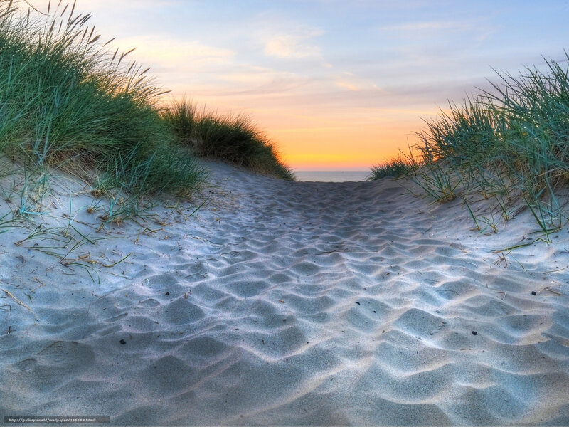 Sand Dune Path — Blue