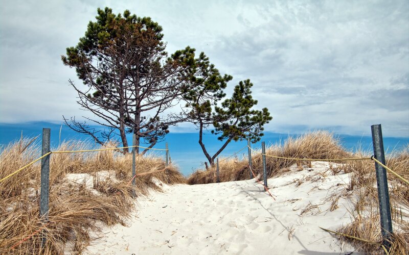 Sand Dune Path to Beach