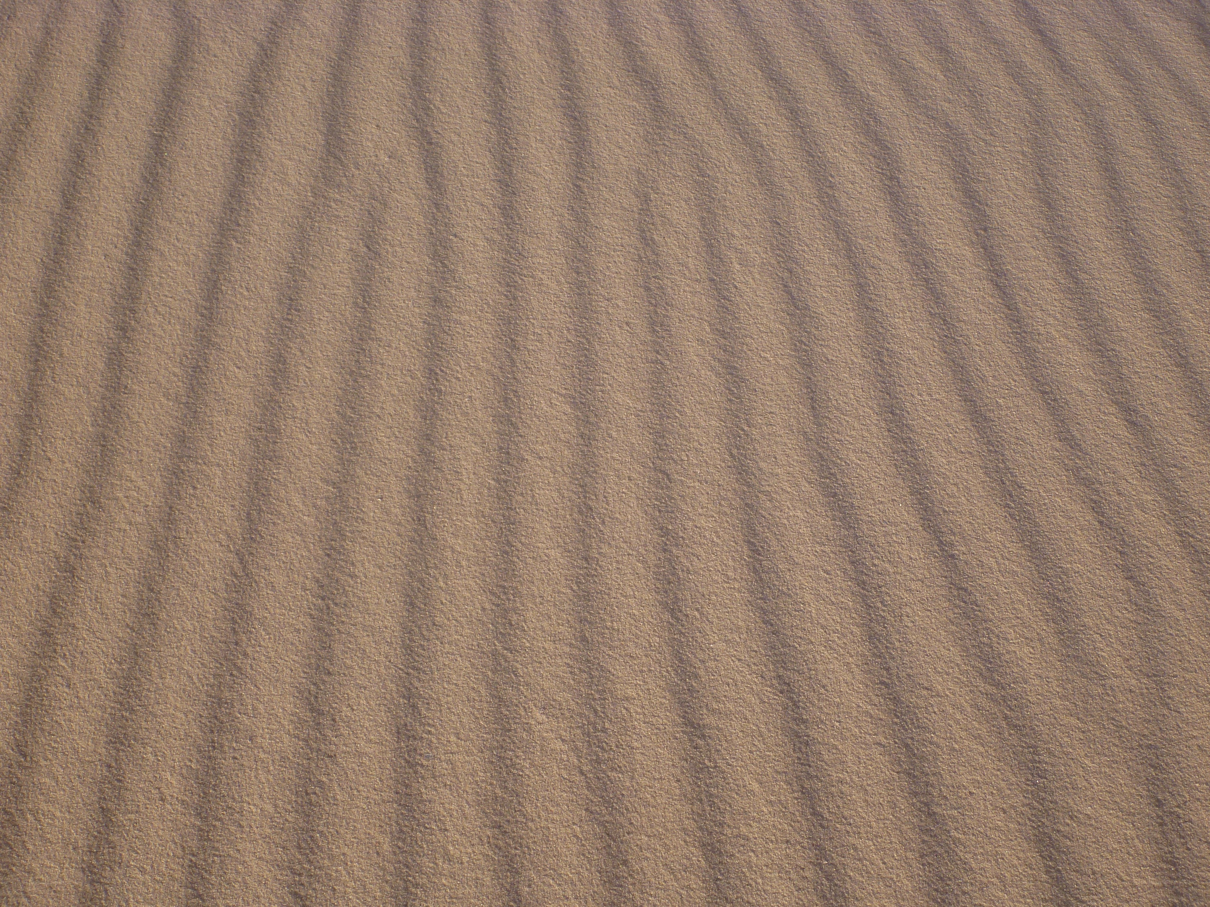 sand dune patterns
