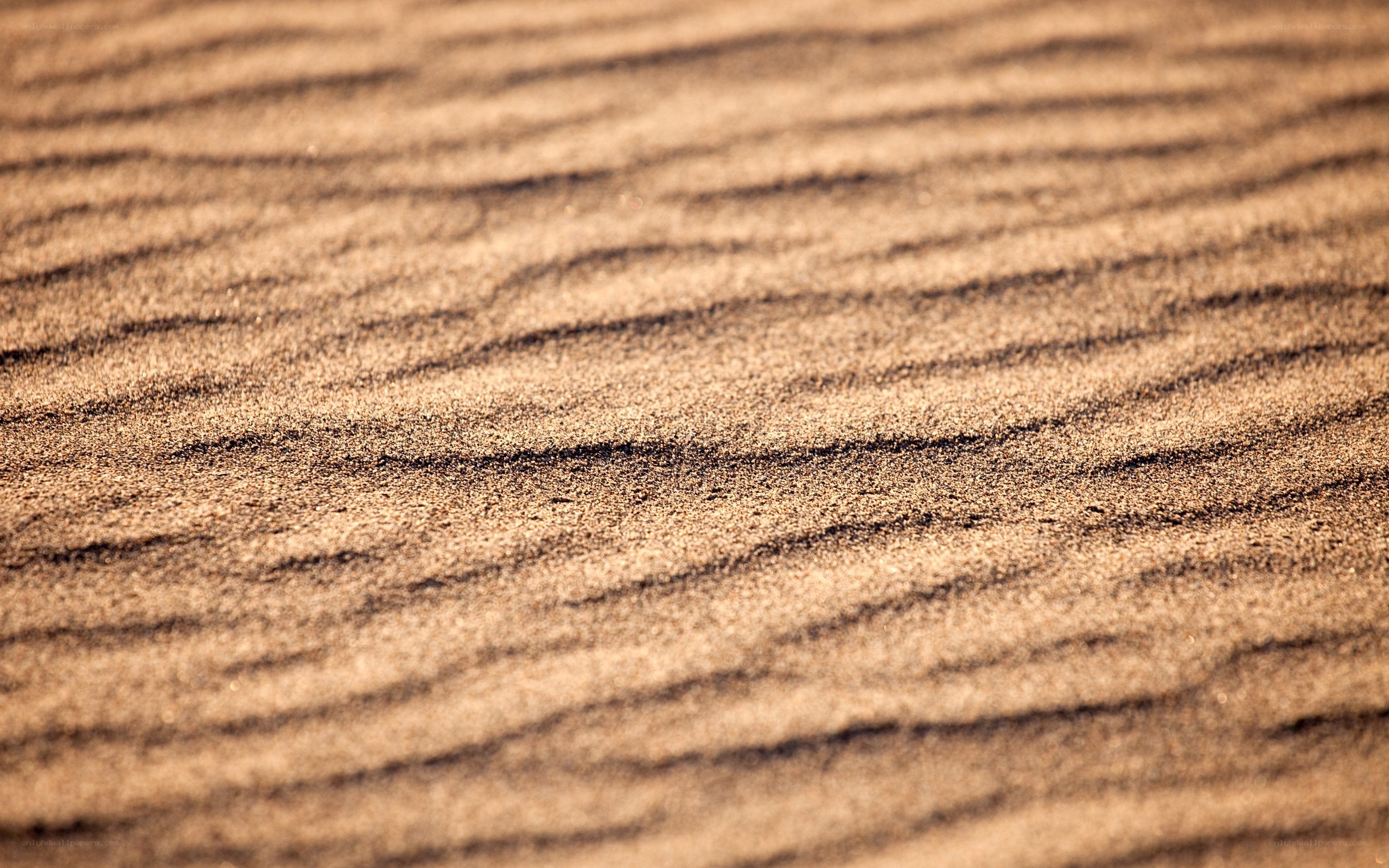 sand dune patterns