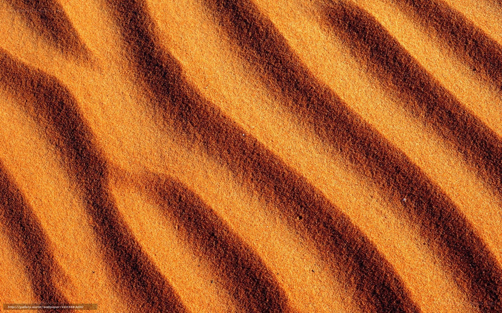 sand dune patterns
