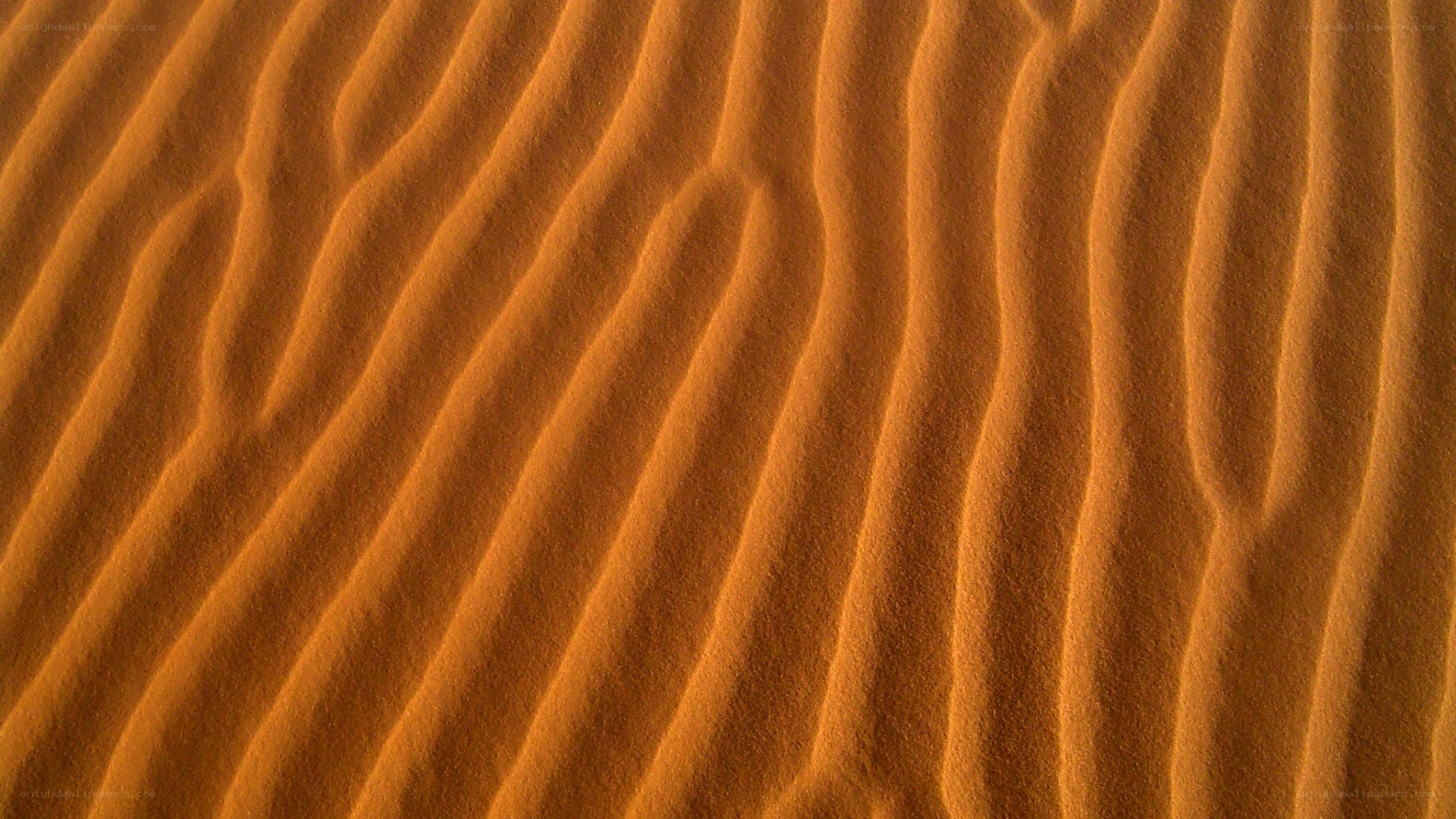 sand dune patterns