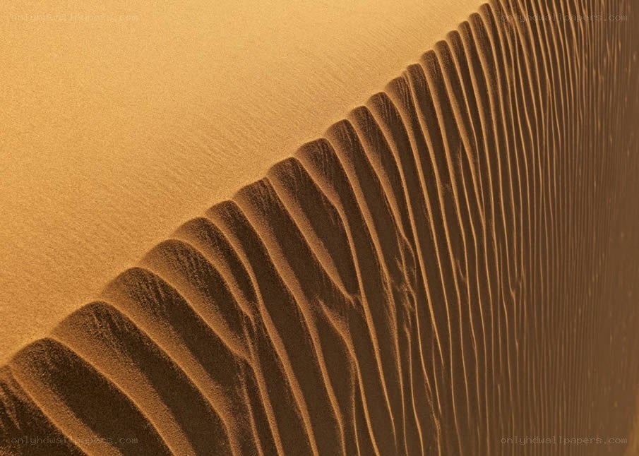 sand dune patterns