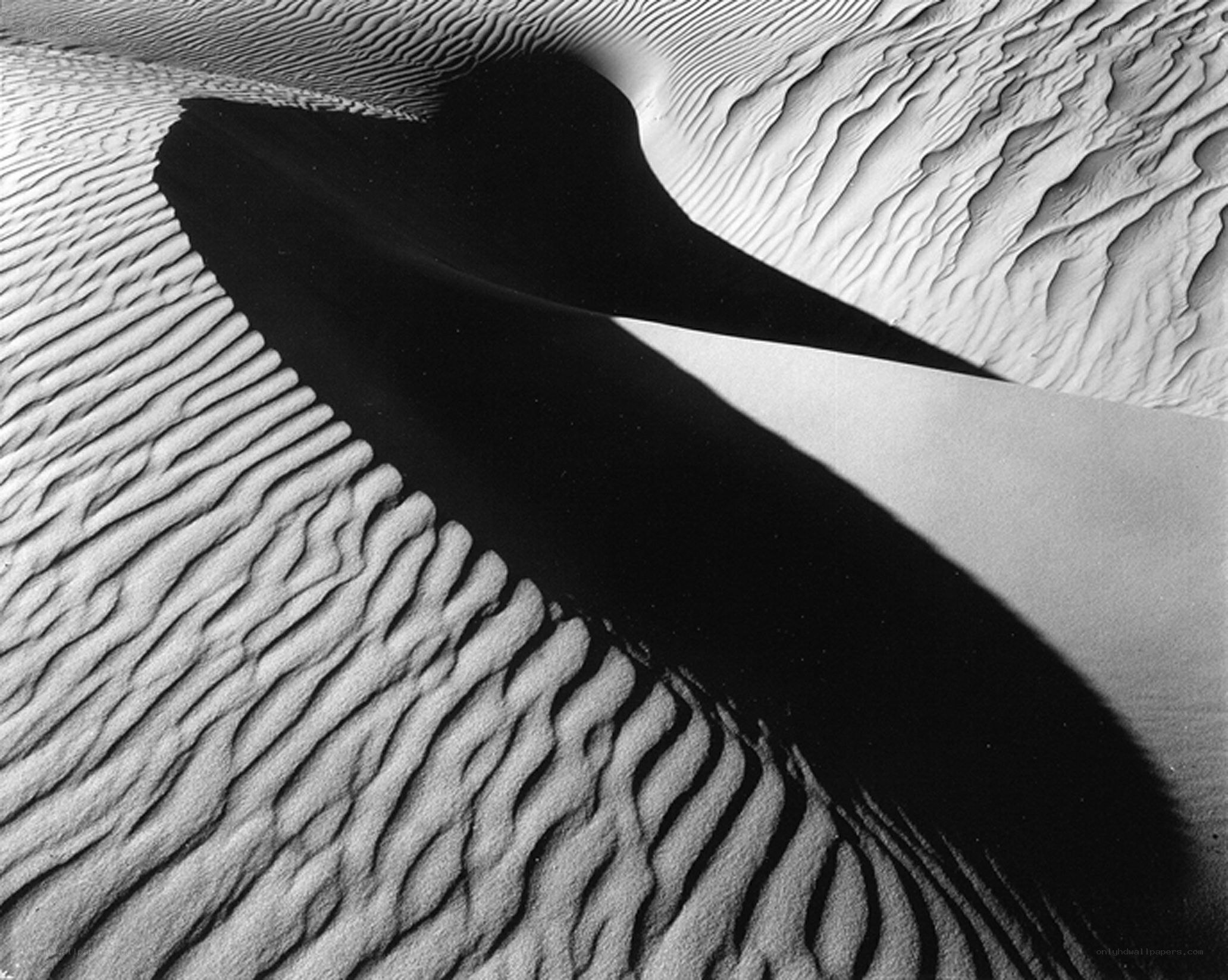 Sand dune patterns and shadows