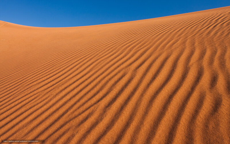 Sand Dune Patterns — Orange, Serene
