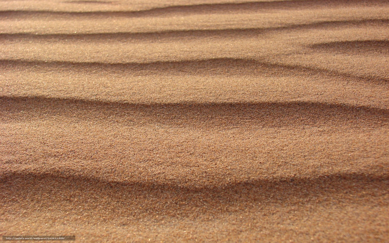 sand dune patterns